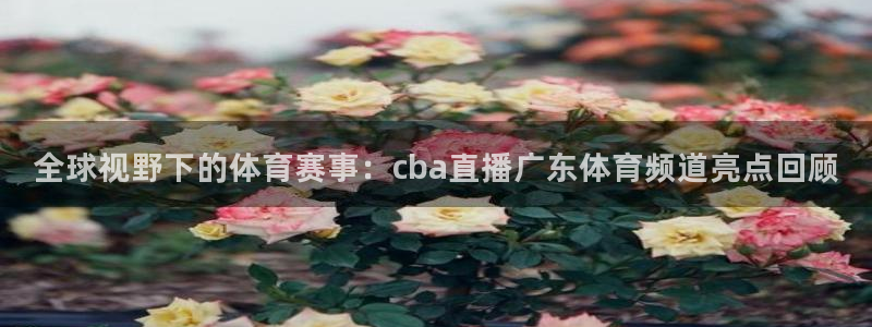 全球视野下的体育赛事：cba直播广东体育频道亮点回顾