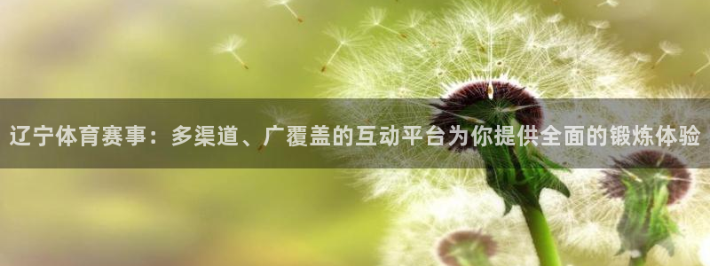 辽宁体育赛事：多渠道、广覆盖的互动平台为你提供全面的锻炼体验