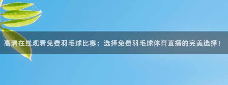 高清在线观看免费羽毛球比赛：选择免费羽毛球体育直播的完美选择！