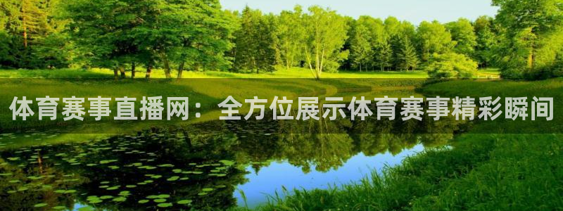 体育赛事直播网：全方位展示体育赛事精彩瞬间