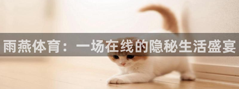 雨燕体育：一场在线的隐秘生活盛宴