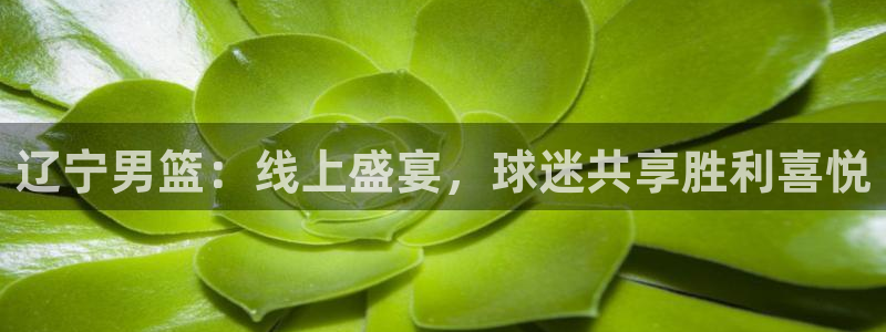 辽宁男篮：线上盛宴，球迷共享胜利喜悦