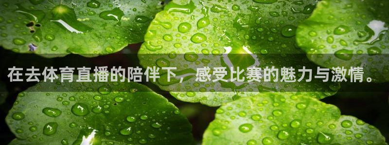 在去体育直播的陪伴下，感受比赛的魅力与激情。