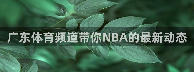 广东体育频道带你NBA的最新动态